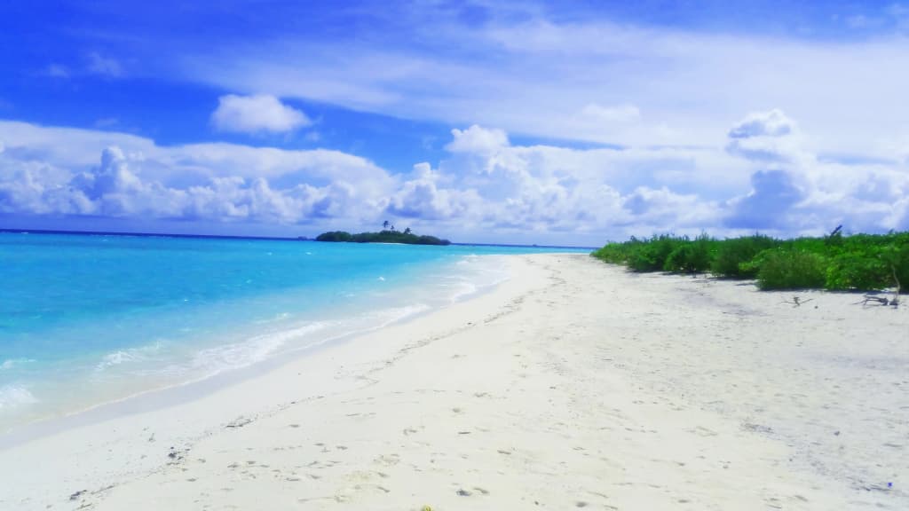 Royal Inn Rasdhoo Guest House - photo 2