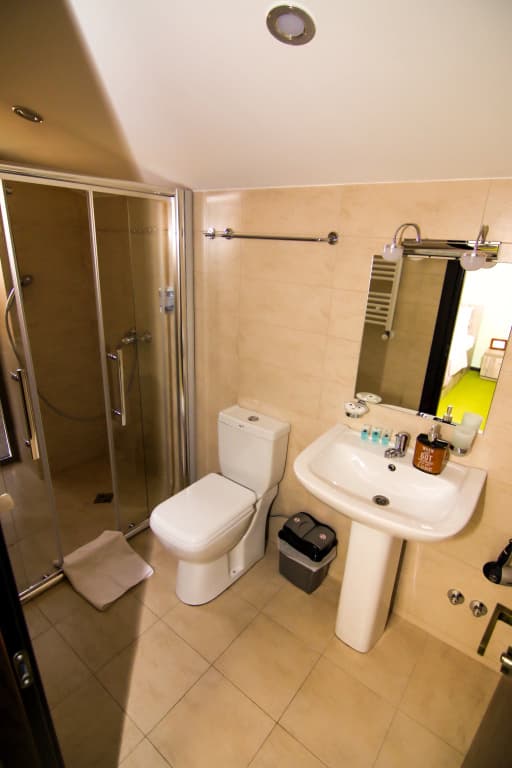 Salmer Hotel - photo 17
