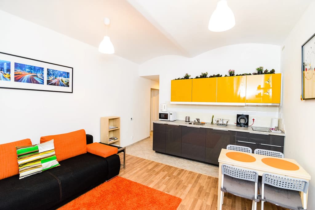 Lower Ground Floor Prague Apartments - photo 4