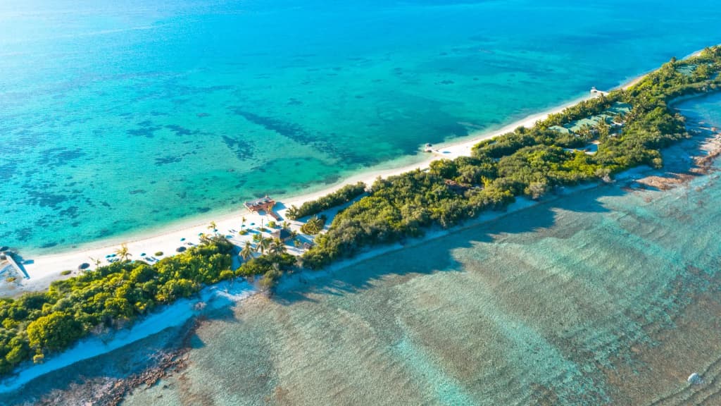Canareef Resort Maldives - photo 11