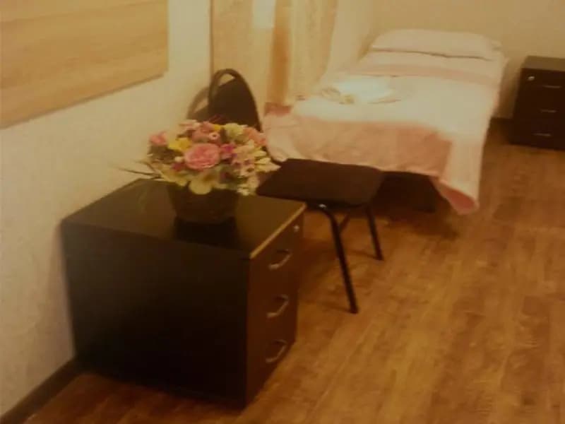 Viatka Guest House - photo 15