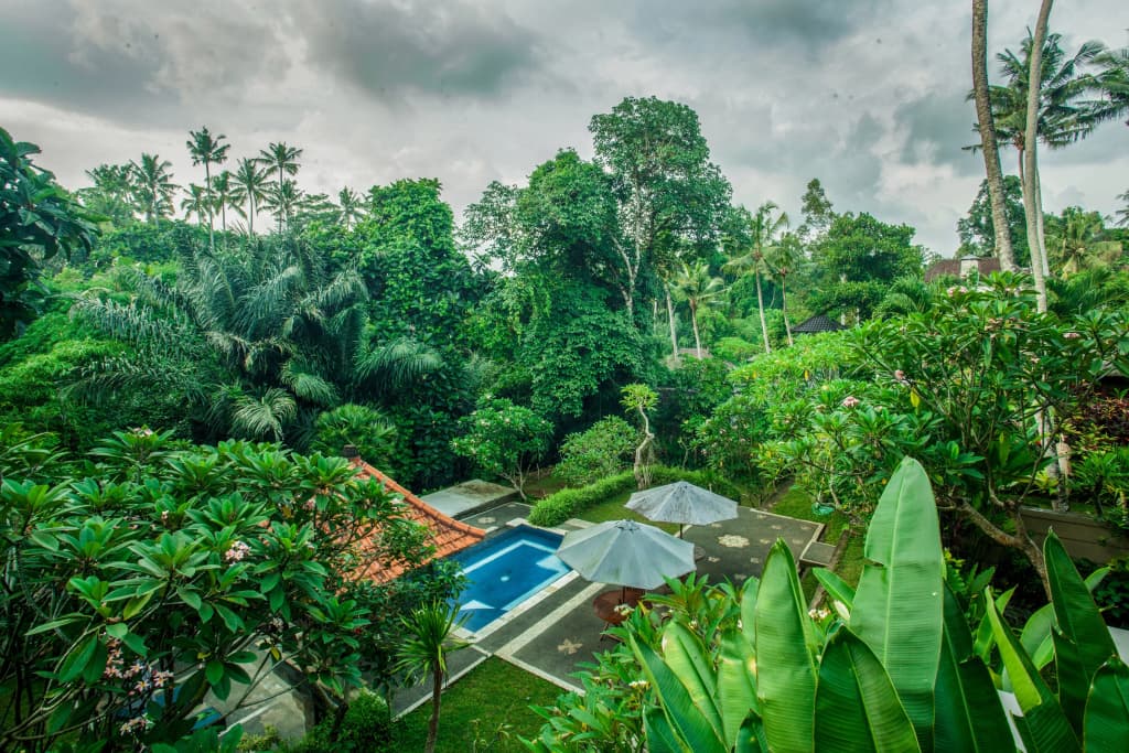 Alas Petulu Cottages - main photo