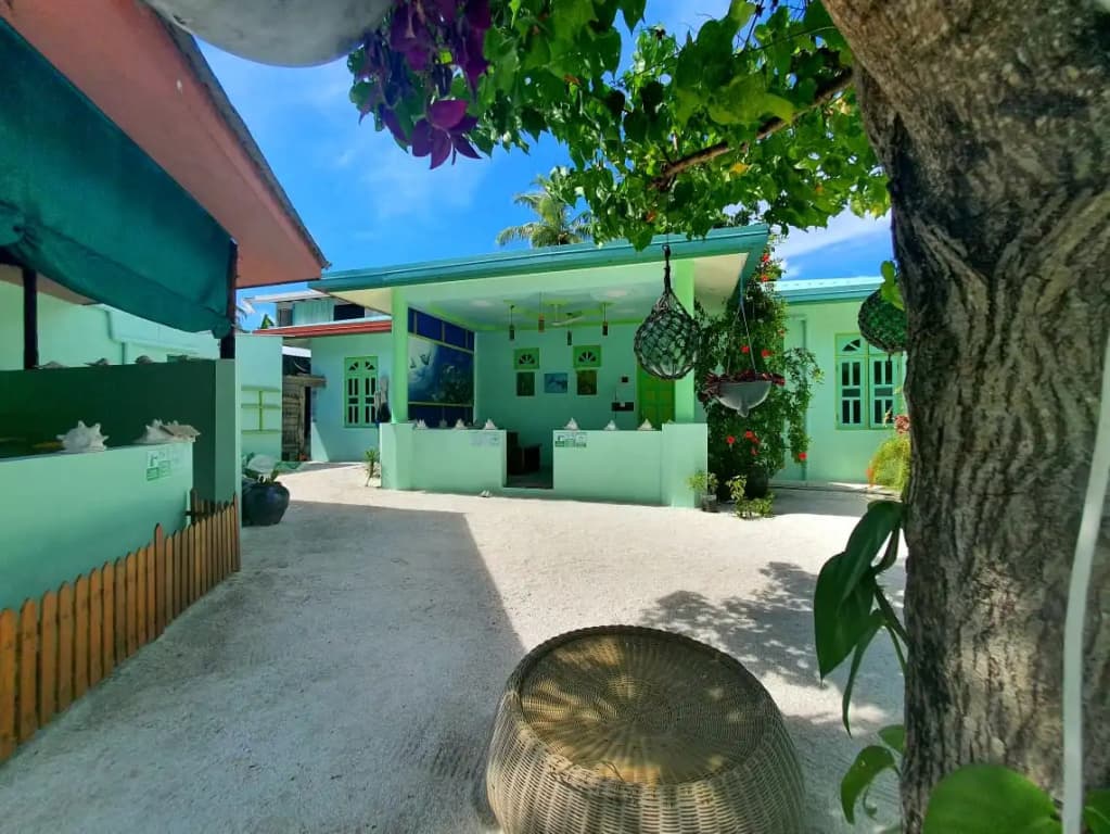 Kuri Inn - photo 6