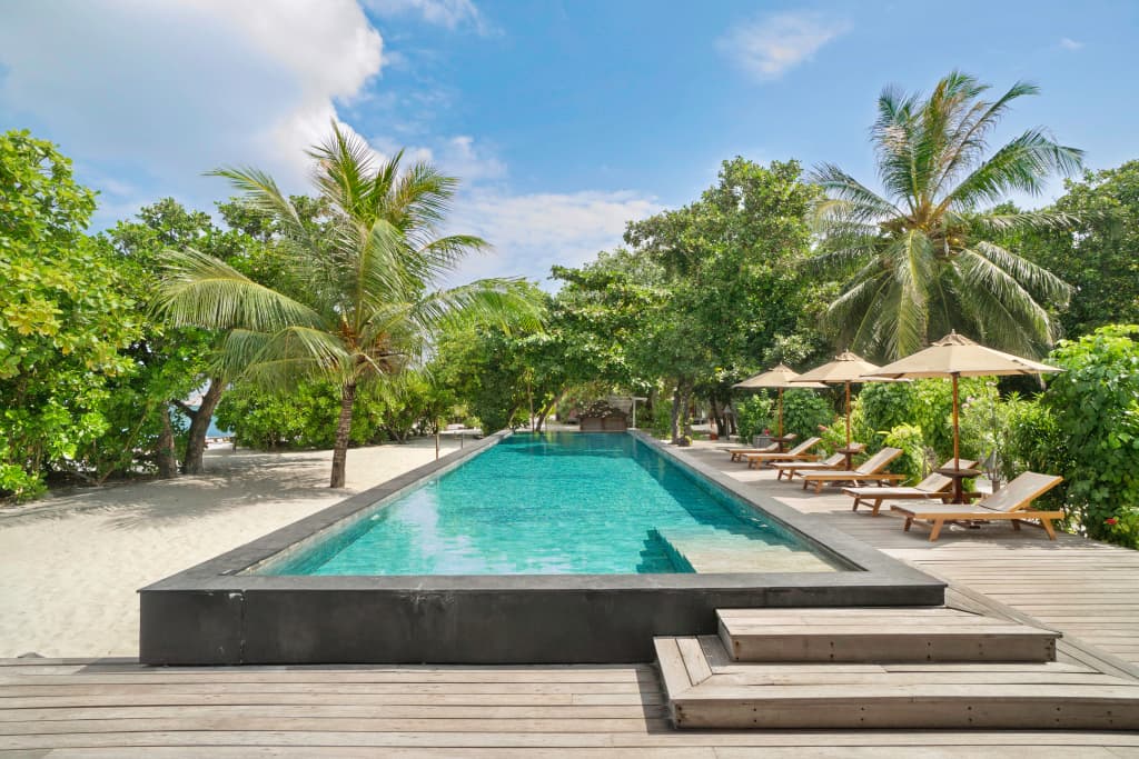 The Barefoot Eco Hotel - photo 18