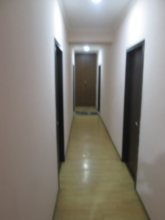 Old Isani Hotel - photo 25