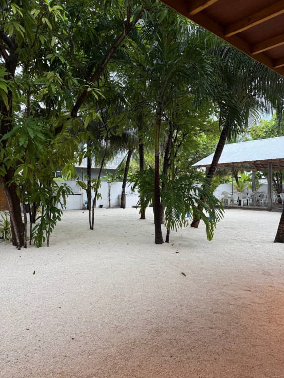 Navaya Dhiffushi Guest house - photo 4