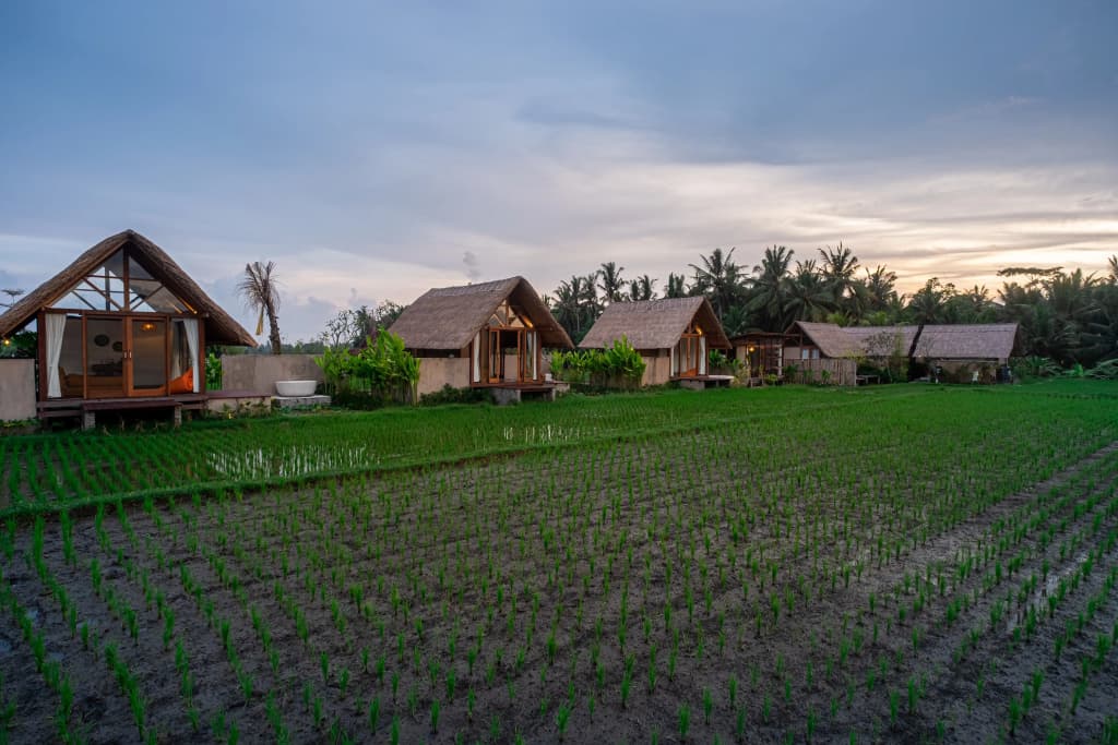 Pondok Mawas Hotel - photo 2