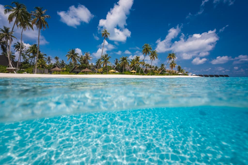 Fushifaru Maldives Resort - photo 2