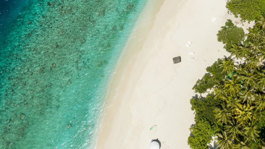 Kamadhoo Inn Guest House - photo 31