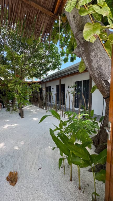 Navaya Dhiffushi Guest house - photo 3