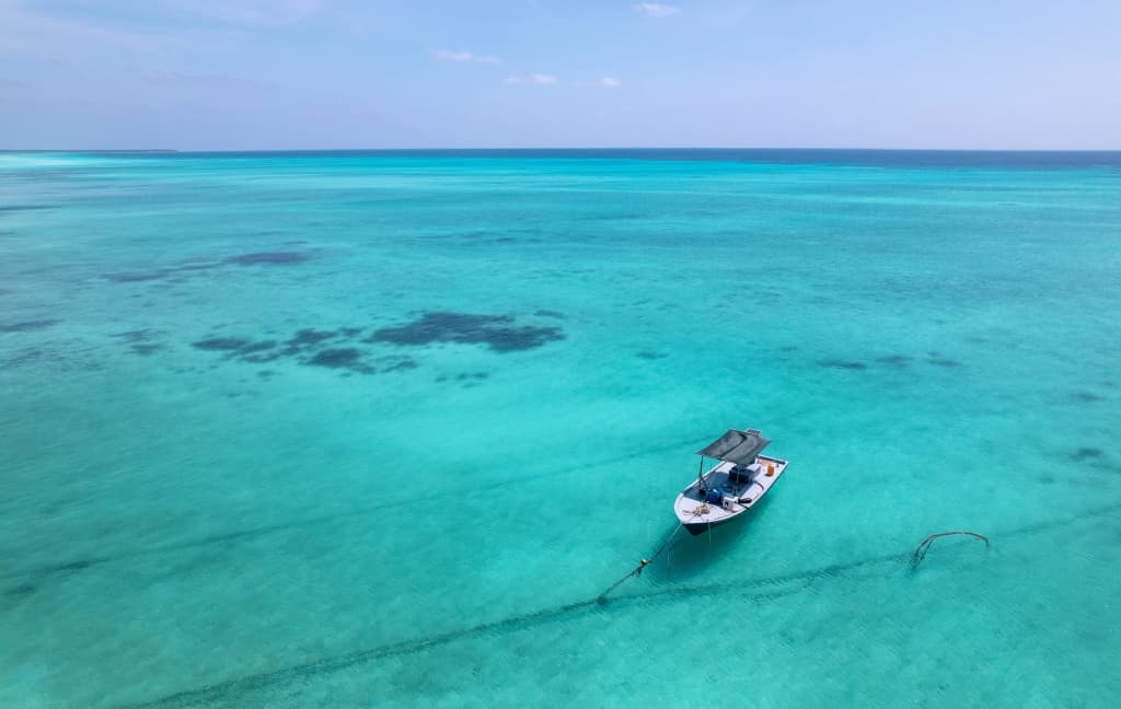 Island Luxury Boutique Hotel, Fulhadhoo - photo 21