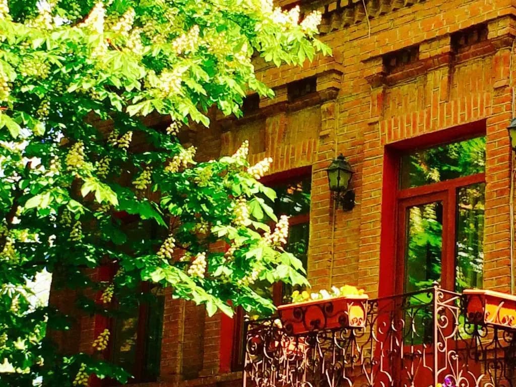 British House Hotel - photo 1