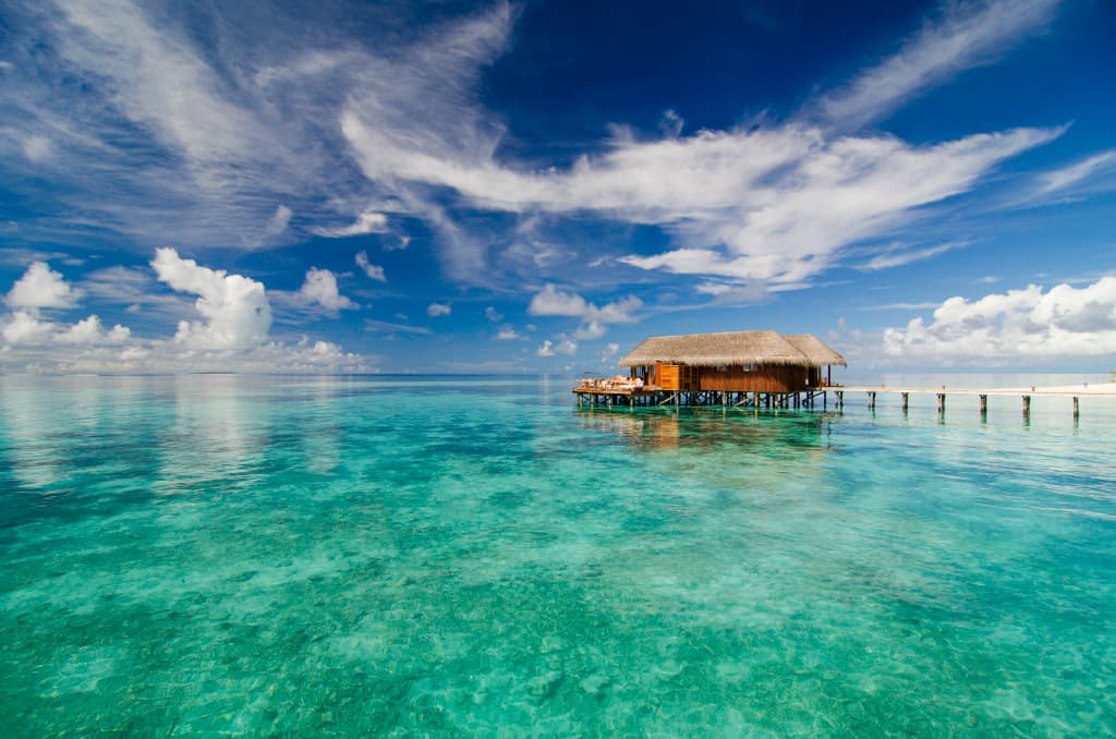 V Villas Maldives at Mirihi - MGallery Collection Resort Hotel - photo 16