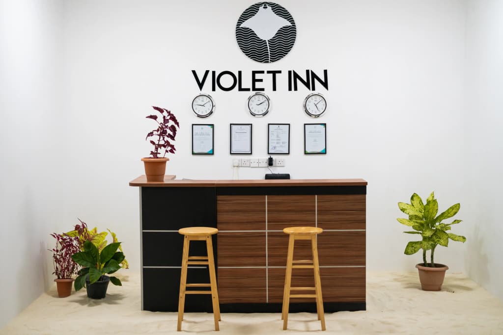 Violet Inn Mini-Hotel - photo 21