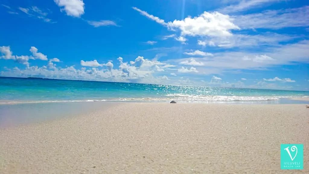 Viluveli Beach Maldives Hotel - photo 35