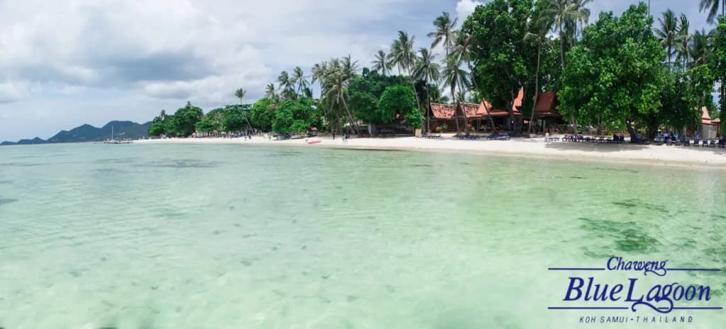 Chaweng Bluelagoon Hotel - photo 6