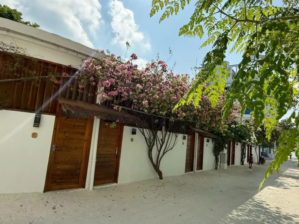 Navaya Dhiffushi Guest house - photo 30