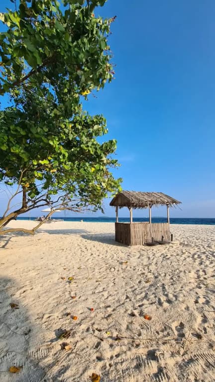Kamadhoo Inn Guest House - photo 27