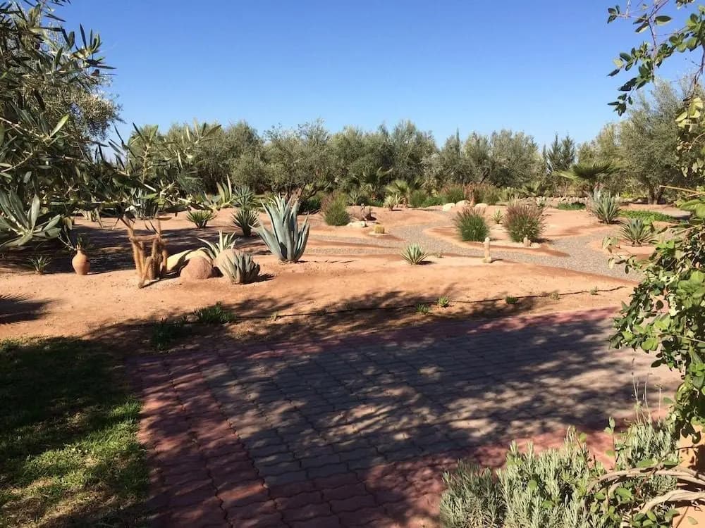 Ferme Sidi Safou Hotel - photo 18