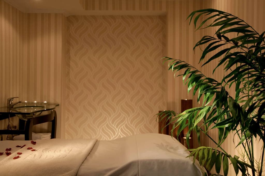 Sonesta Tower & Casino Cairo Hotel - photo 22
