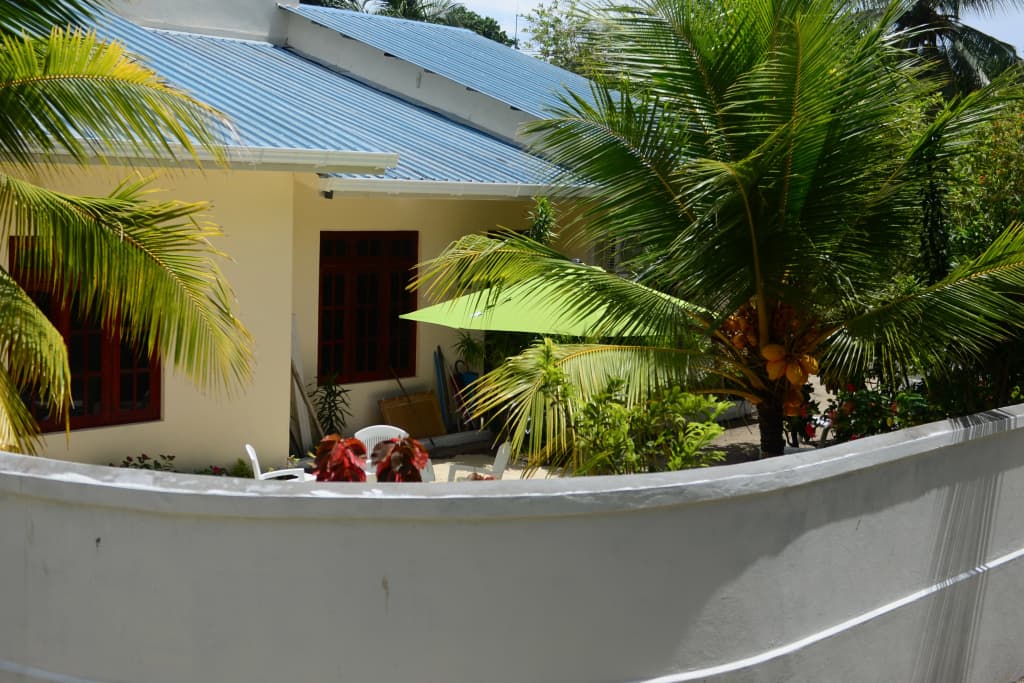 Maclura Residence Guest House - photo 3