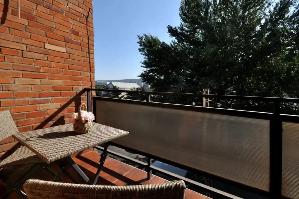 Majestic Georgia Hotel - photo 5