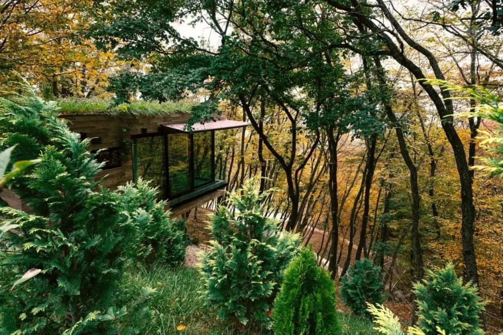 Bioli Medical Wellness Resort - photo 15