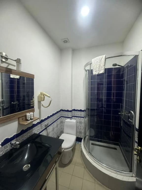 Hotel Rike Park Hotel - photo 10