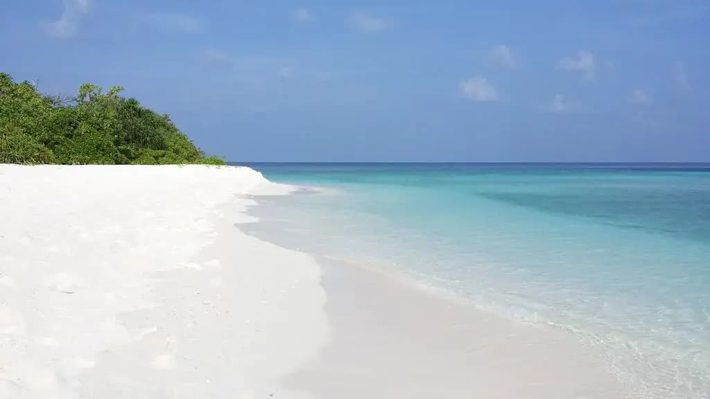 Viluveli Beach Maldives Hotel - photo 7