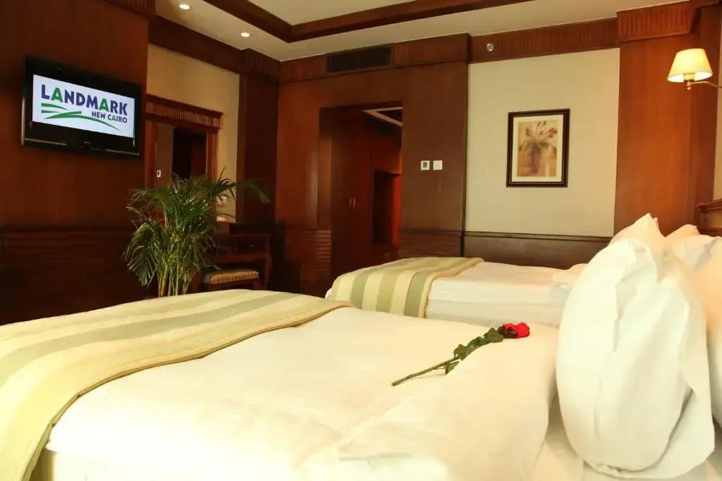 Helnan Landmark Hotel - photo 10