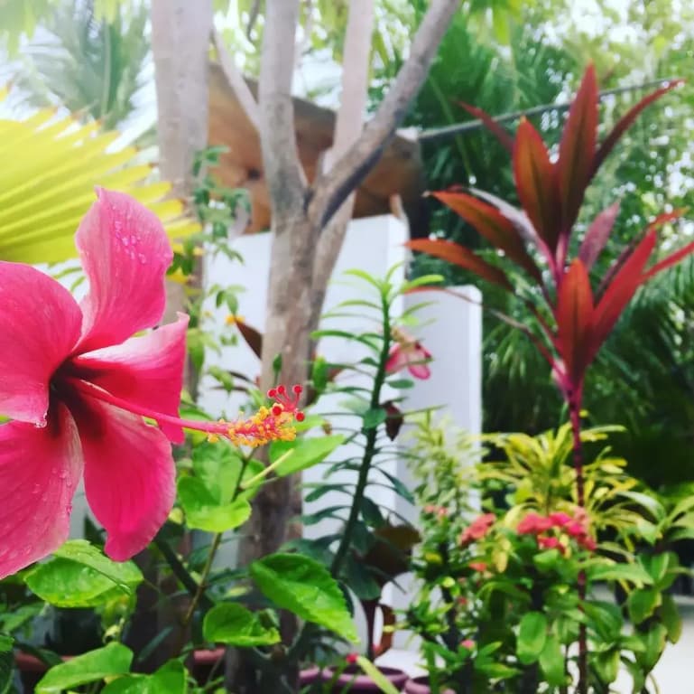 Manta Inn Guest House - photo 24