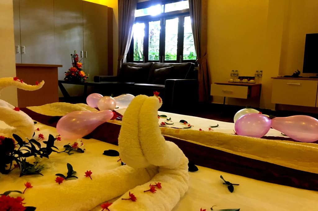 Camellia Resort & Spa Hotel - photo 28