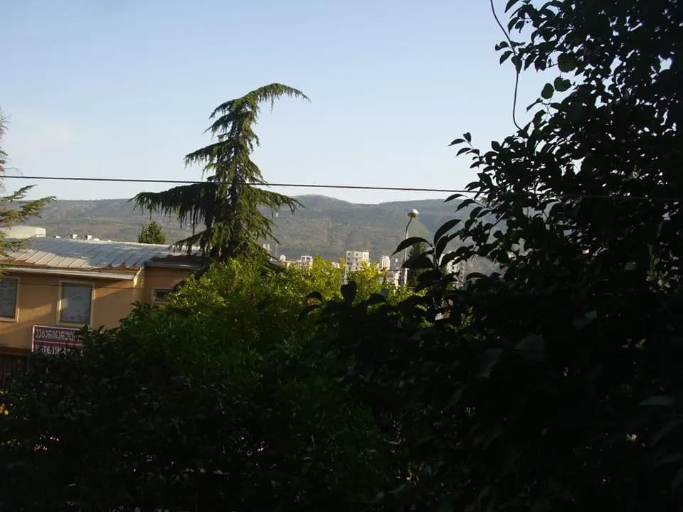 Nita Hotel - photo 9