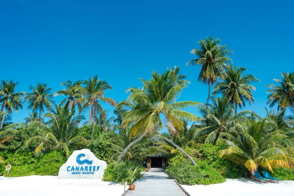 Canareef Resort Maldives - photo 10