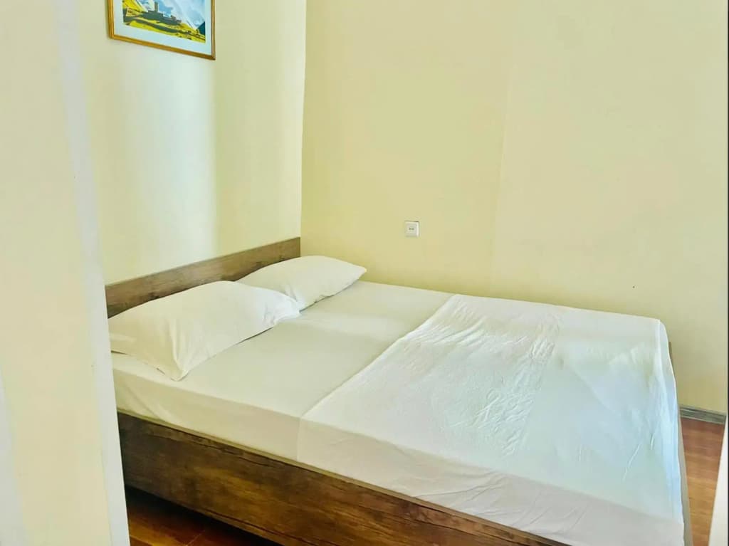 Guest house Rustaveli Bon Voyage - photo 28