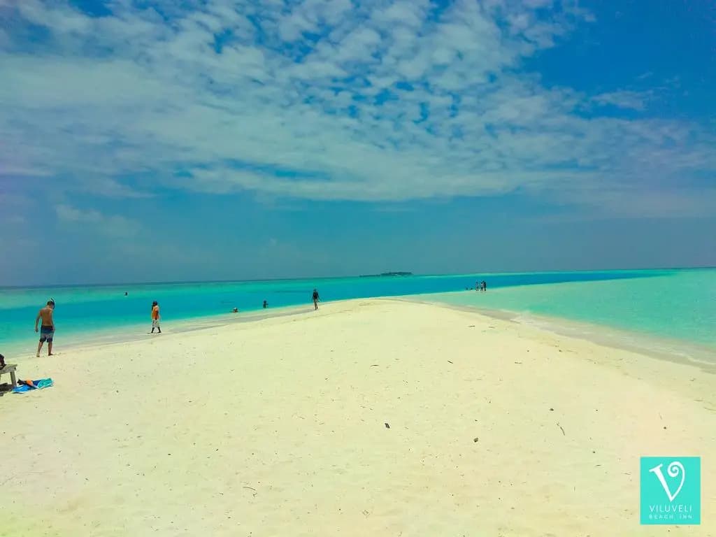Viluveli Beach Maldives Hotel - photo 33