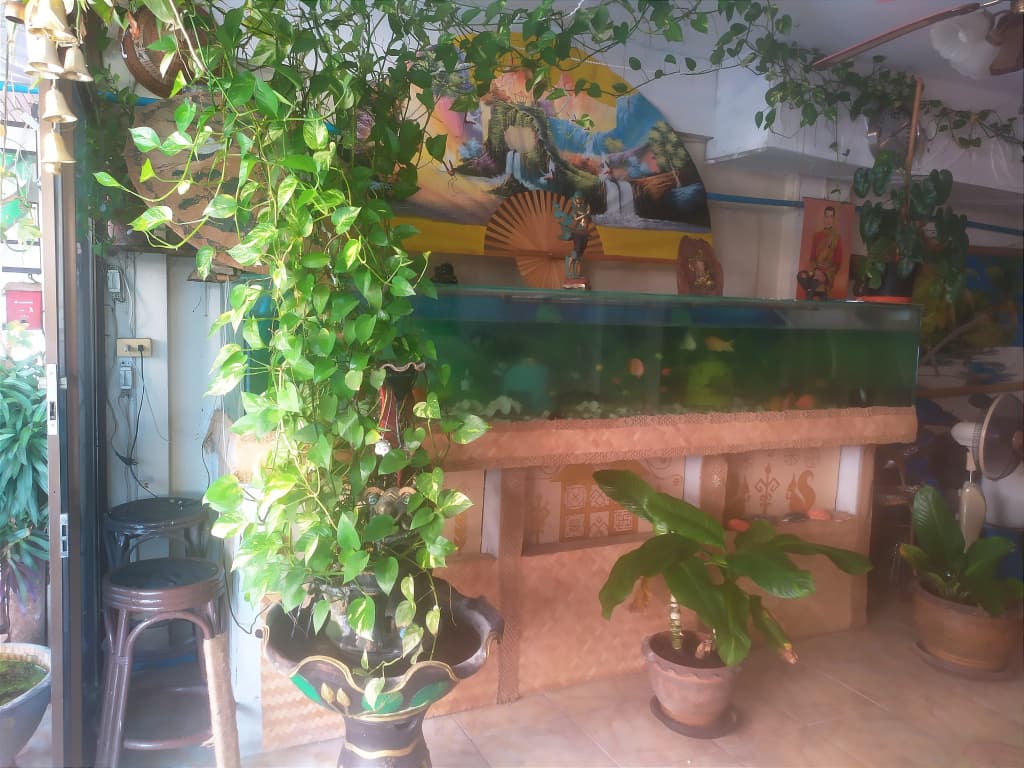 SV HOUSE Guest house - photo 3