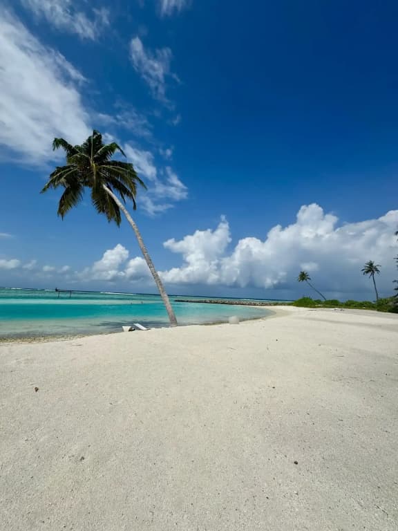 Navaya Dhiffushi Guest house - photo 13