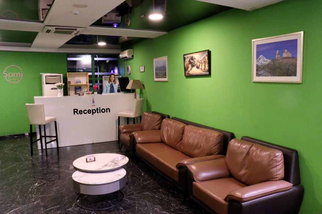 Hotel Somi Inn - photo 3