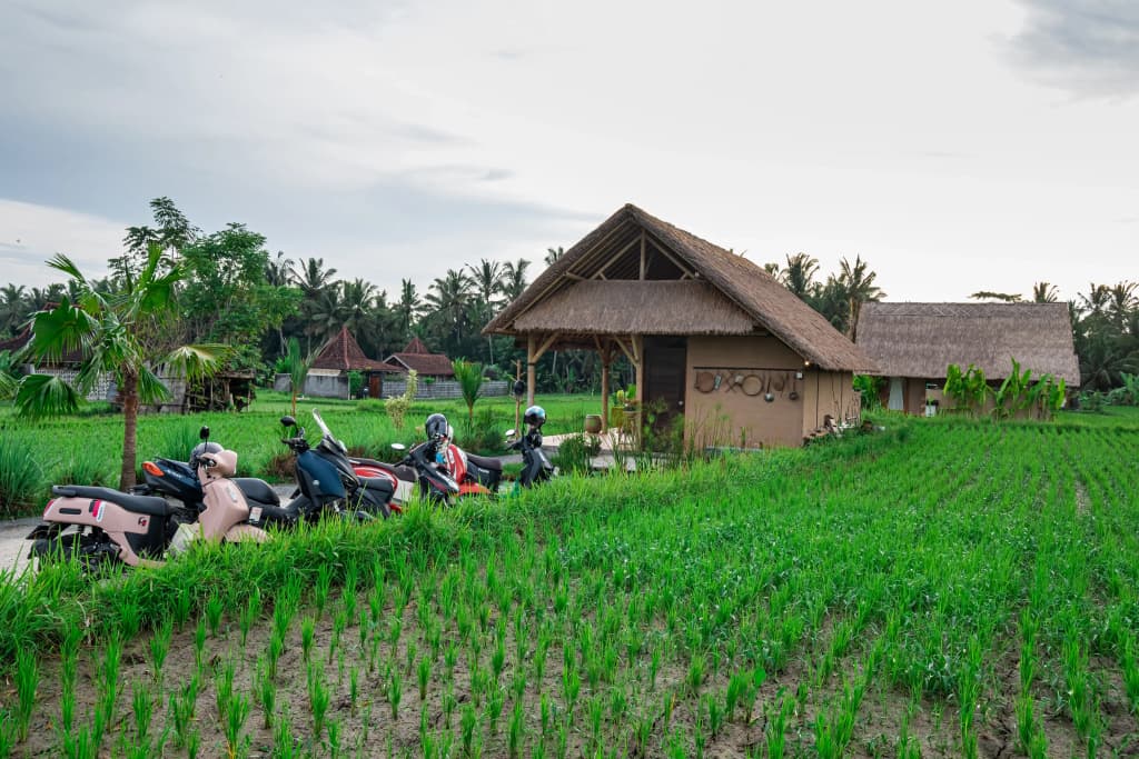 Pondok Mawas Hotel - photo 4
