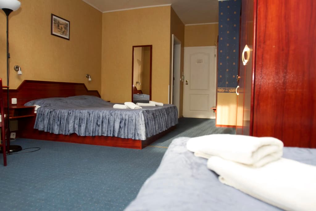 Classic Hotel - photo 19