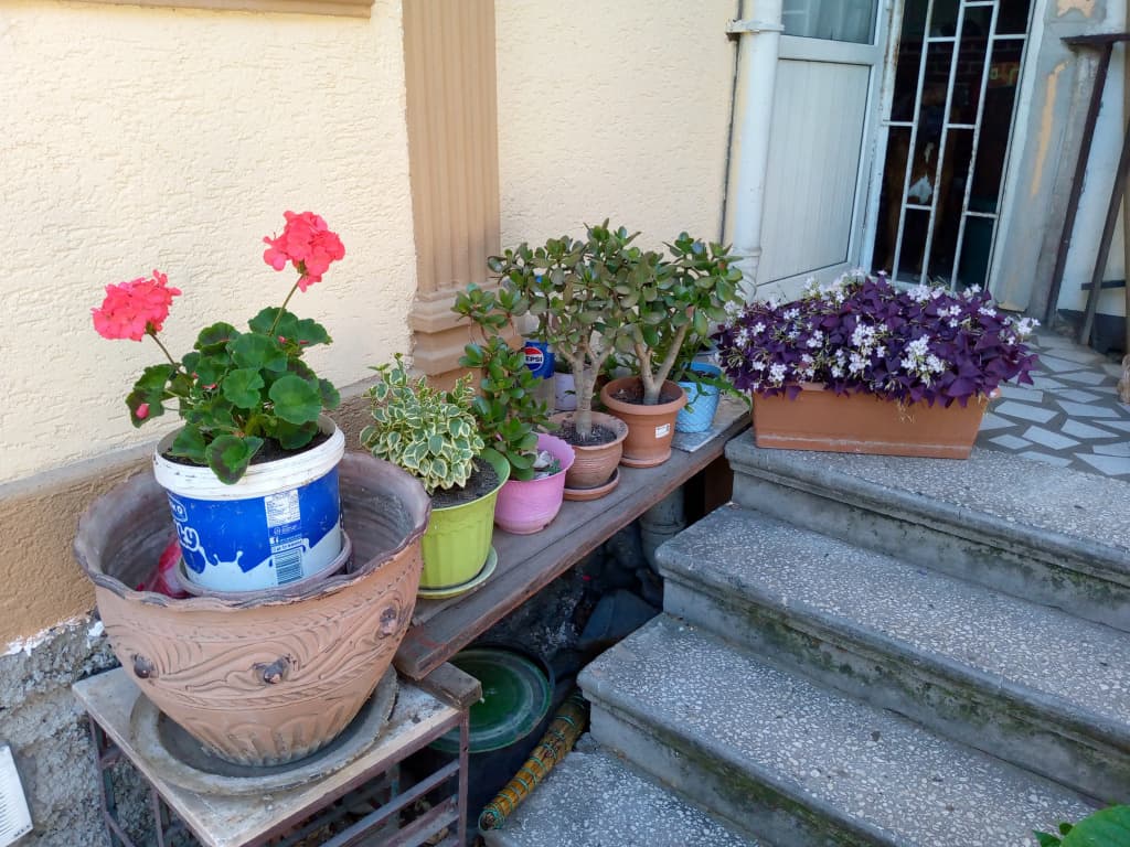 Once upon in old Tbilisi Cottage - photo 13