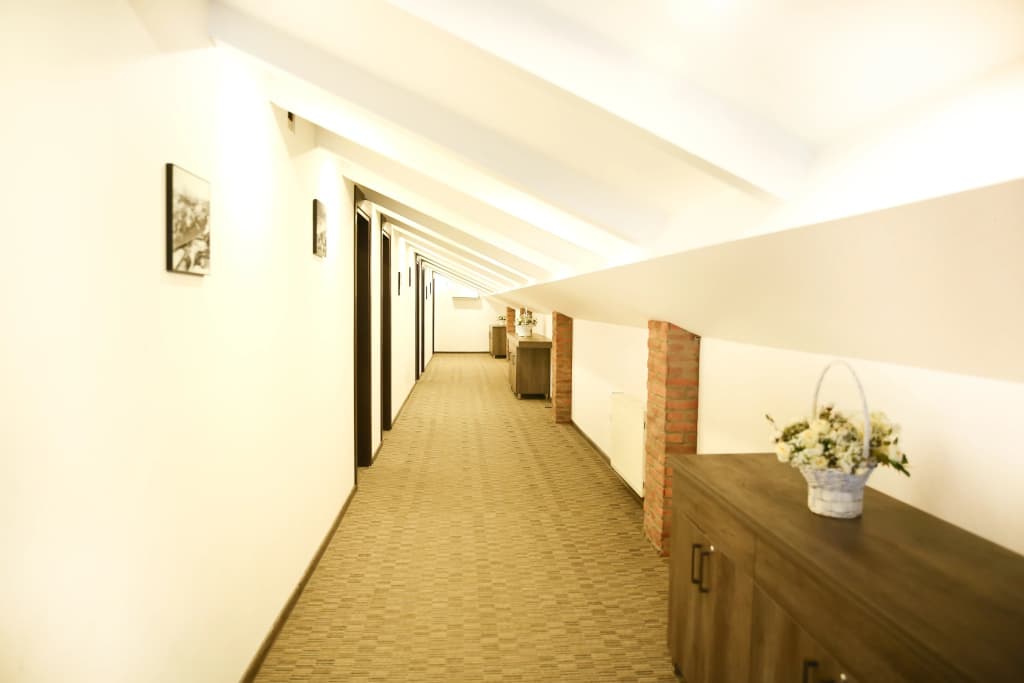 Old Rustaveli Hotel - photo 5