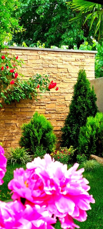 Green Garden Apartments - photo 6