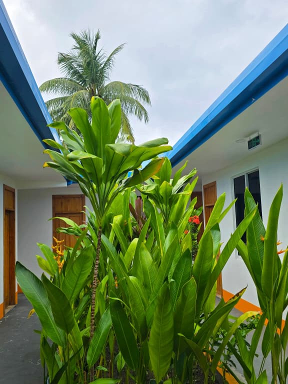 The Happiness Sun Suites Guest House - photo 7