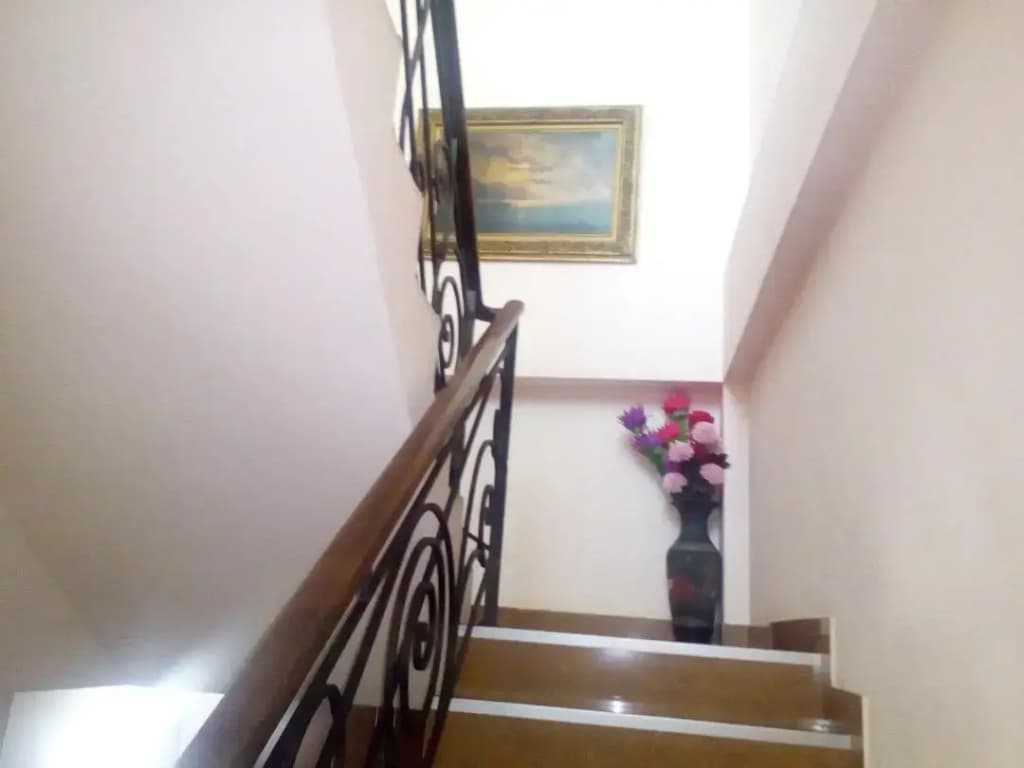 Old Isani Hotel - photo 21