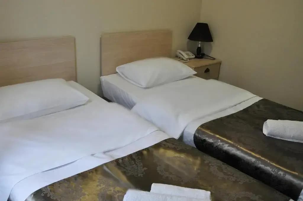 Hotel Ciskari Hotel - photo 14