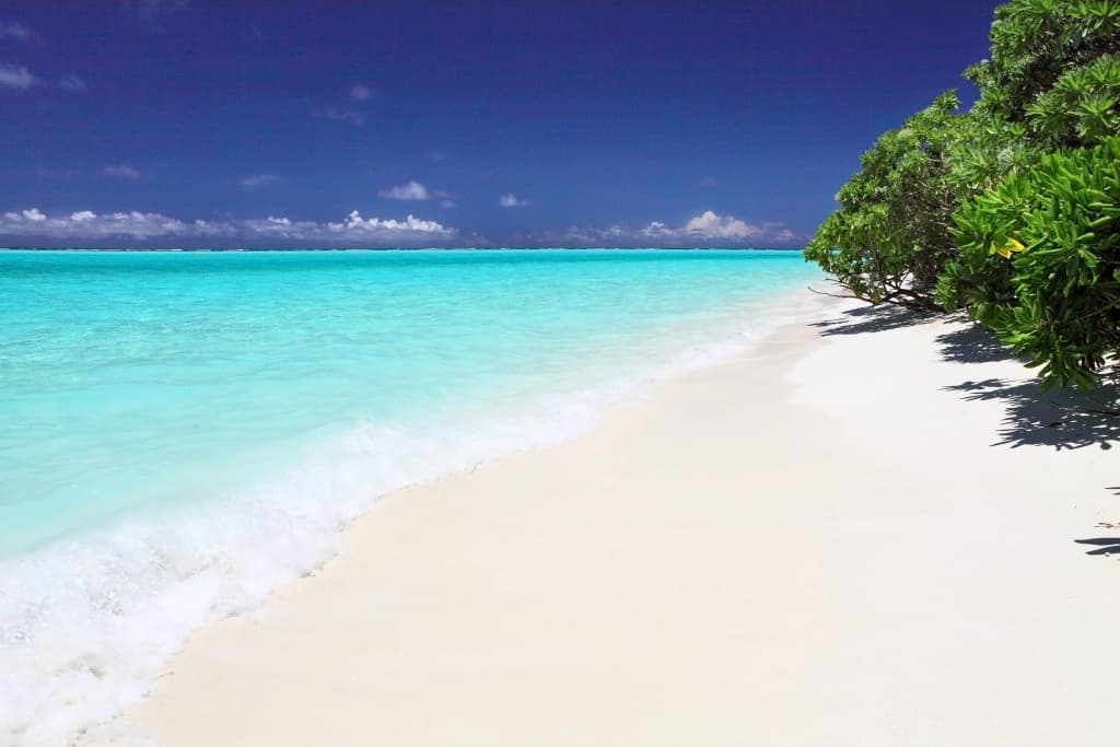 Holiday Cottage Maldives Guest House - photo 26