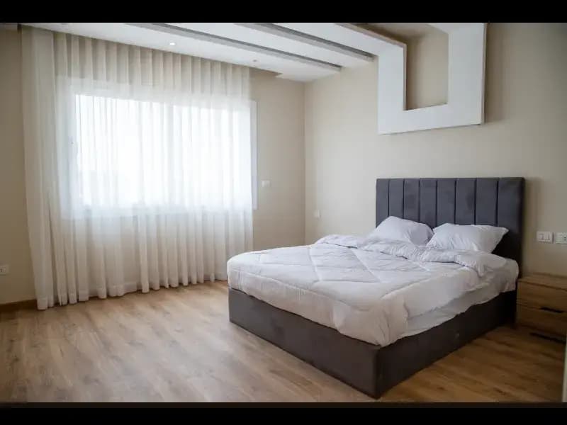 Settle Inn Hyde Park One Bedroom Apartments - photo 11