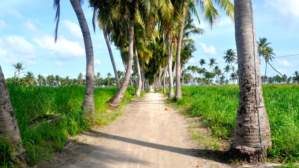Holiday Grand Maldives Guest House - photo 8